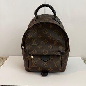 Louis Vuitton Palm Springs Mini Backpack